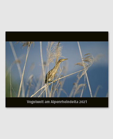 Vogelwelt am Alpenrheindelta 2021